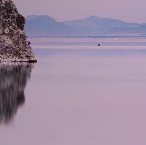 Meet your Posher, Adriana